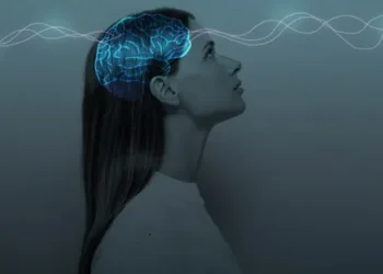 Best Supplement for Brain Fog