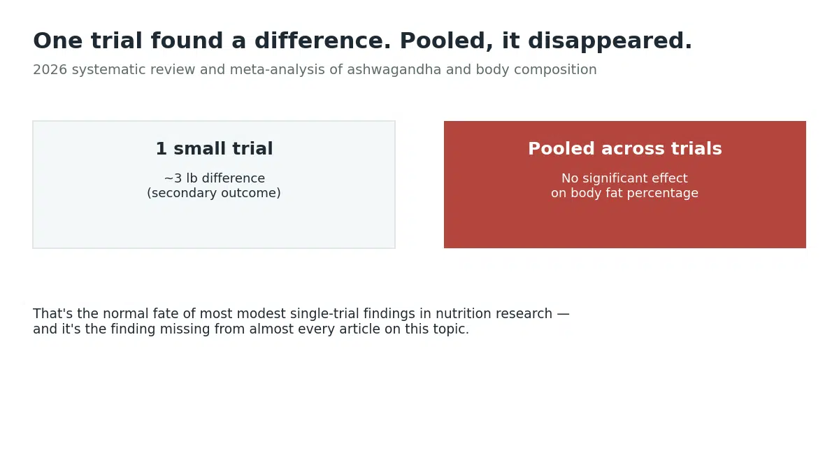 One ashwagandha trial found a weight difference, but pooled across trials there was no significant effect on body fat percentage