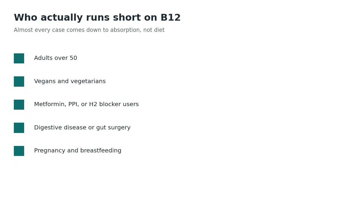 Who actually runs short on B12: adults over 50, vegans and vegetarians, people on metformin or acid-reducing medication, those with digestive disease or gut surgery, and pregnant or breastfeeding women