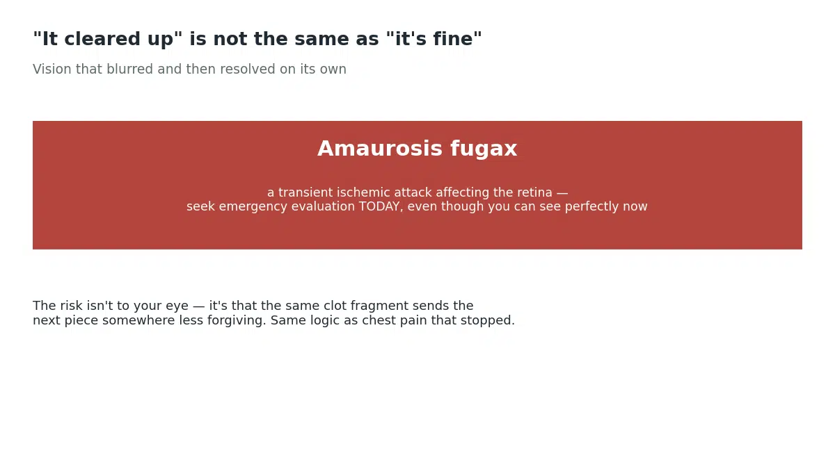 Amaurosis fugax is a transient ischemic attack affecting the retina that requires emergency evaluation the same day even though vision has already returned to normal