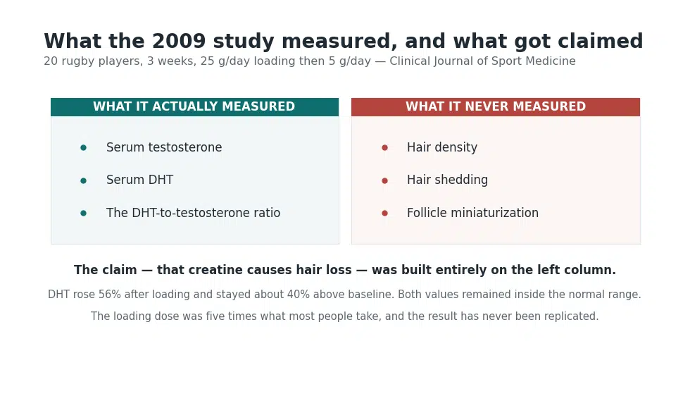Chart comparing what the 2009 creatine hair loss study actually measured against what the claim it produced says