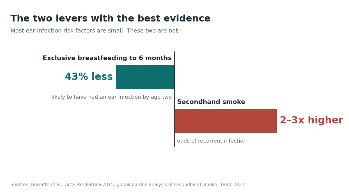Breastfeeding lowers ear infection risk by about 43% while secondhand smoke raises it two to three times