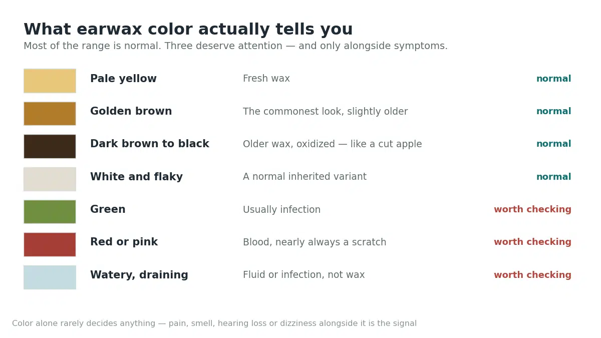 Earwax color chart showing which colors are normal and which are worth checking