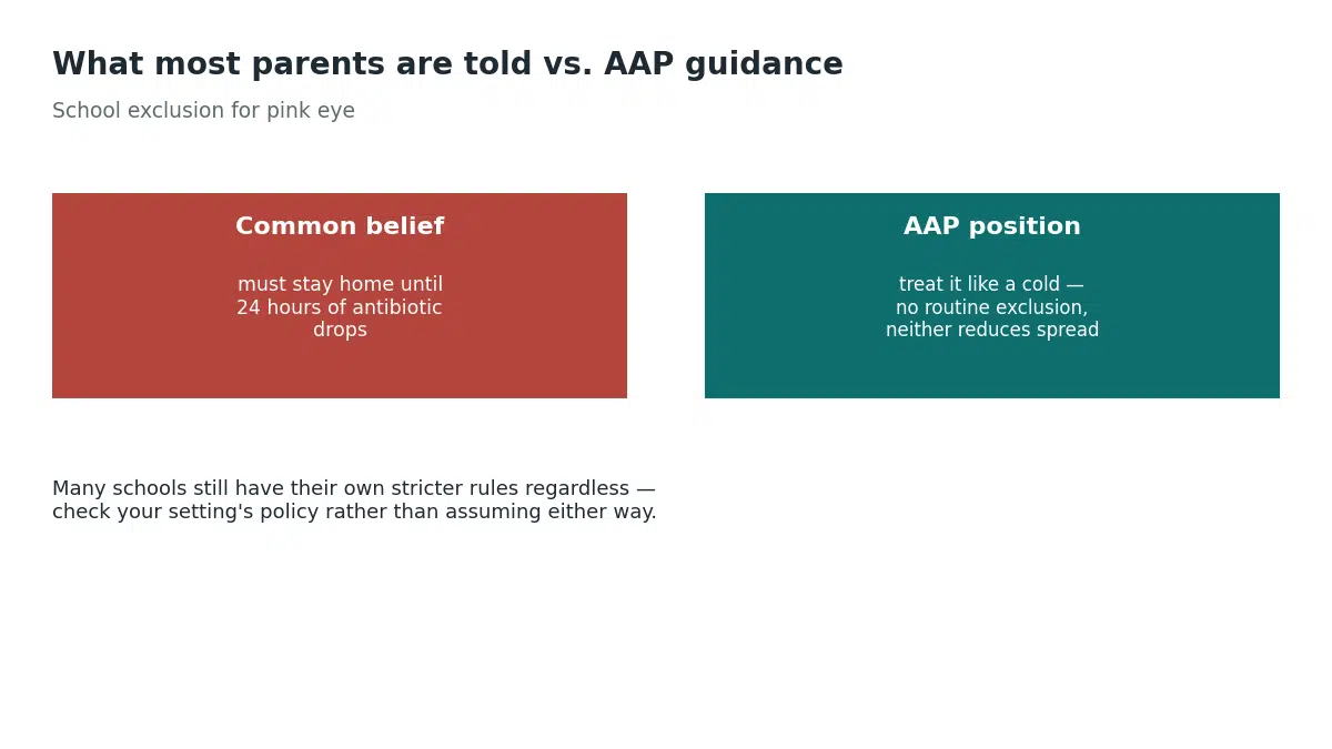 Many parents are told a child must stay home 24 hours after starting antibiotic drops, but the American Academy of Pediatrics recommends treating pink eye like a cold with no routine school exclusion