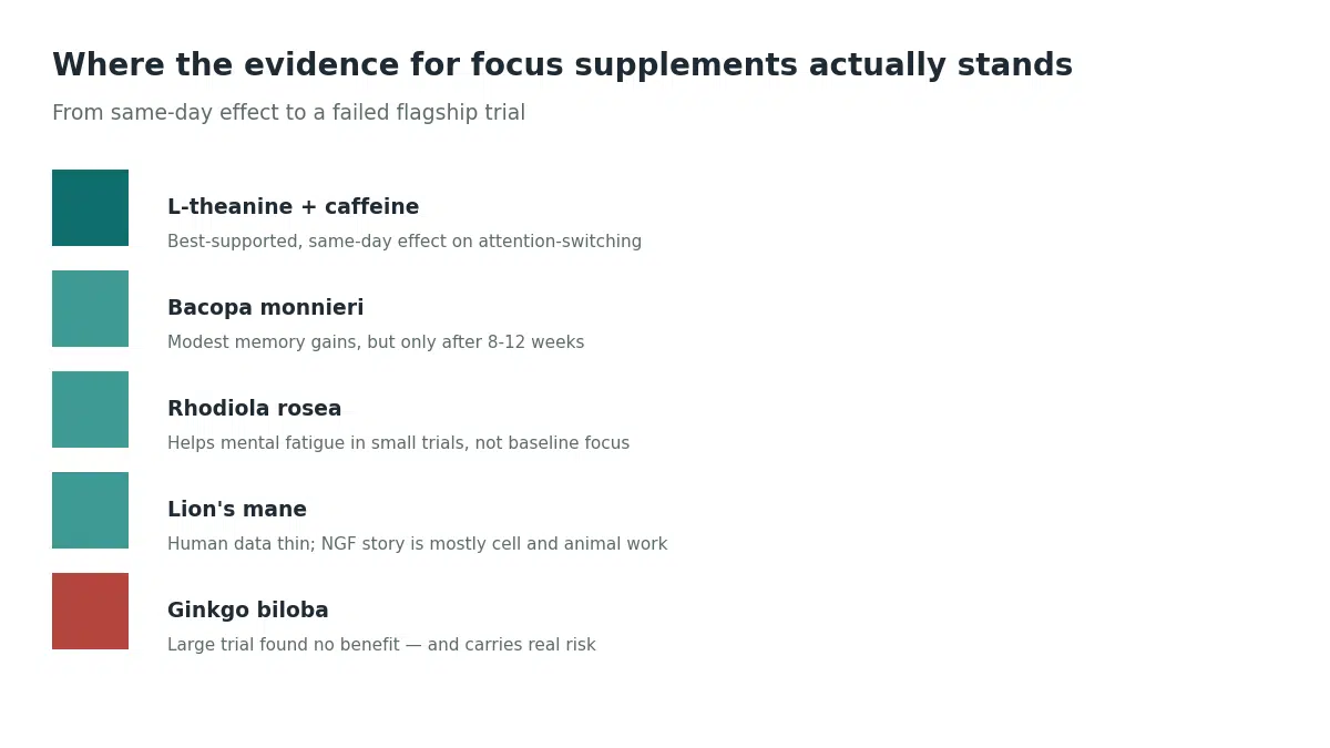 Focus supplements ranked by evidence: L-theanine with caffeine best supported, ginkgo biloba failed its largest trial