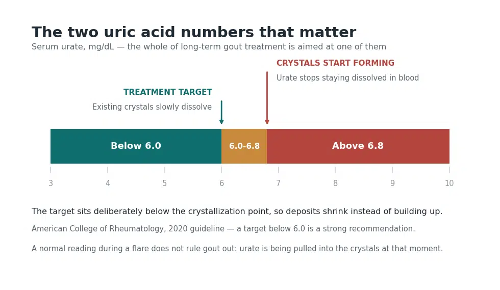 Uric acid scale showing the below 6.0 treatment target for gout and the 6.8 threshold where crystals start forming