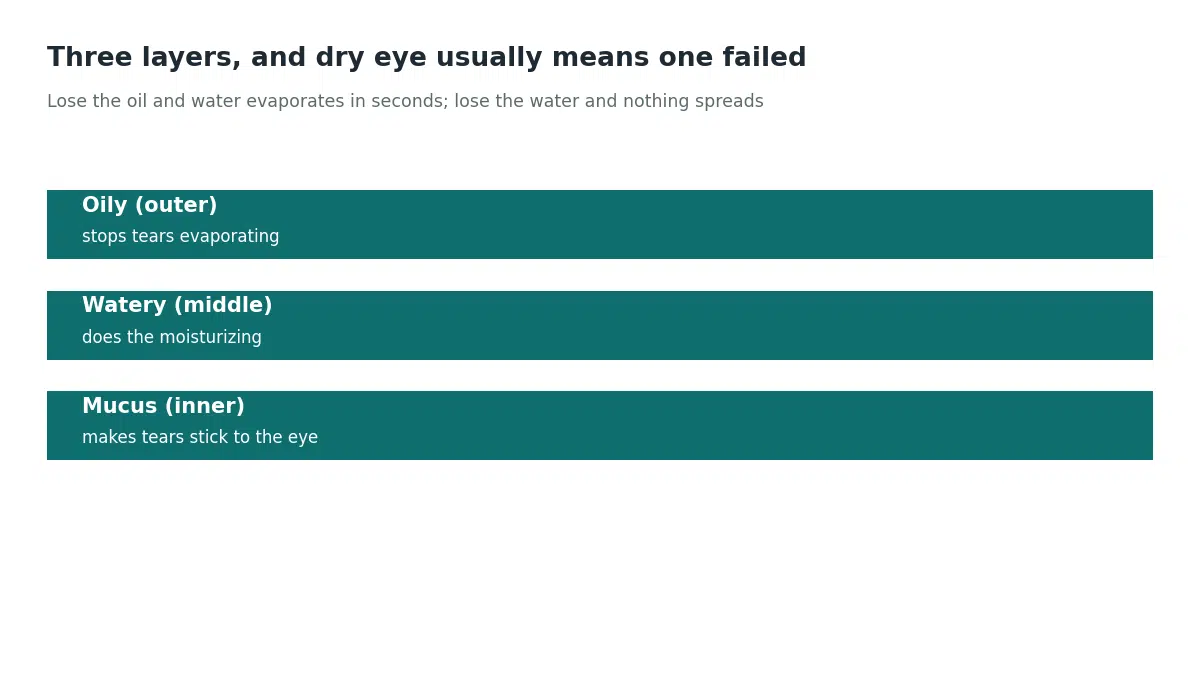 The tear film has three layers: an outer oily layer that stops evaporation, a middle watery layer that moisturizes, and an inner mucus layer that makes tears stick to the eye