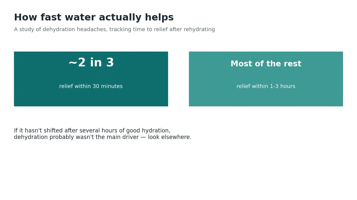 A study of dehydration headaches found about two-thirds got relief within 30 minutes of drinking water, and most of the rest within 1 to 3 hours