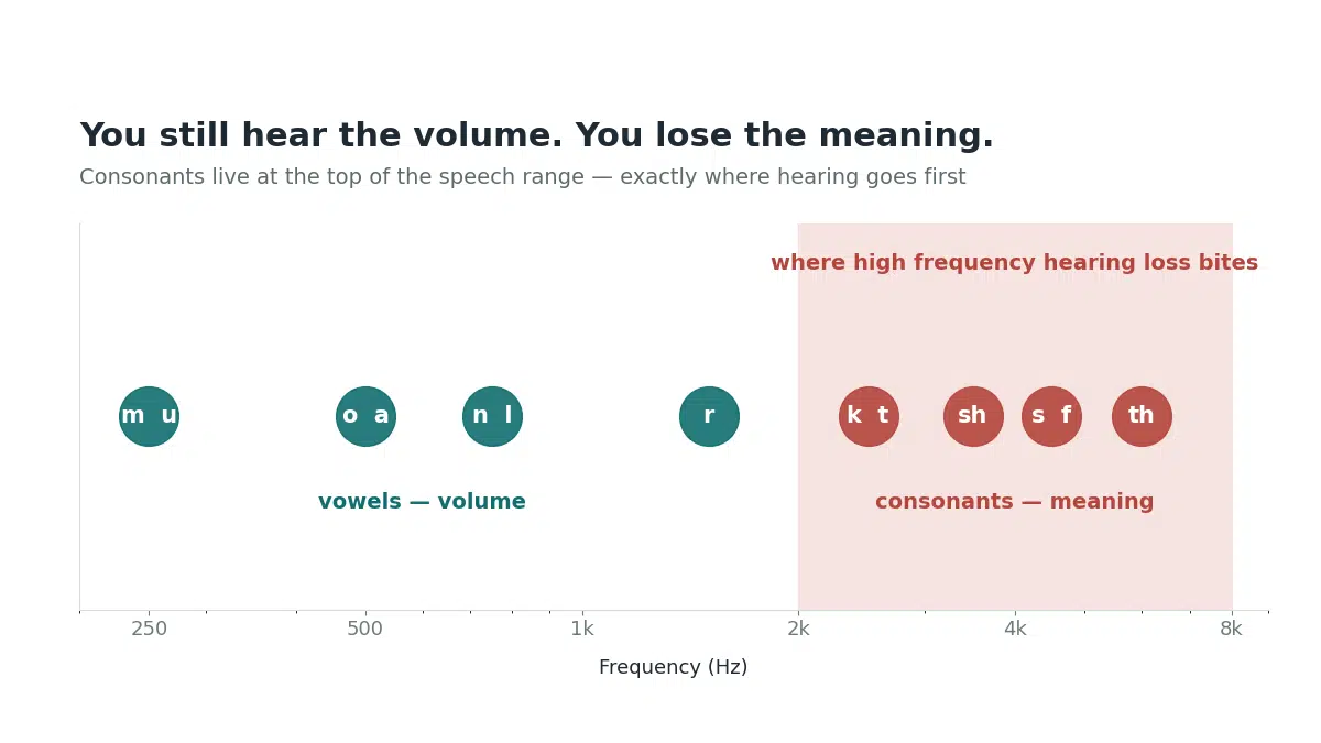 Speech sounds by frequency showing high frequency hearing loss removes the consonants that carry meaning