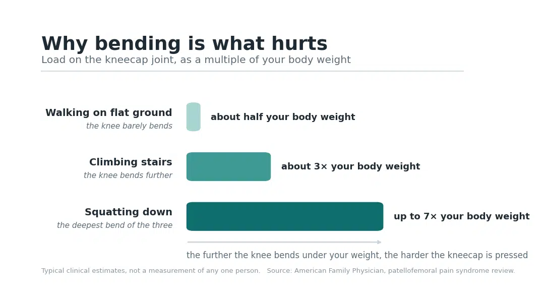 Bar chart comparing load on the kneecap joint: about half your body weight walking on flat ground, about three times body weight climbing stairs, and up to seven times body weight squatting