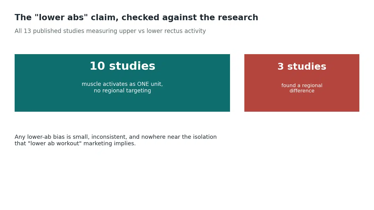 Of 13 published studies measuring upper versus lower rectus abdominis activity, 10 found the muscle activates as one unit and only 3 found a regional difference