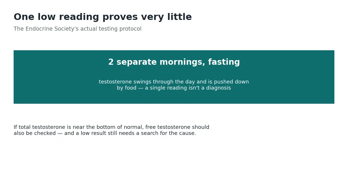 Testosterone should be measured on two separate fasting mornings because levels swing through the day and a single reading is not enough for a diagnosis