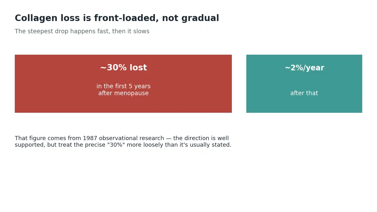 Roughly 30 percent of skin collagen is lost in the first 5 years after menopause, followed by about 2 percent per year afterward, showing collagen loss is front-loaded rather than gradual