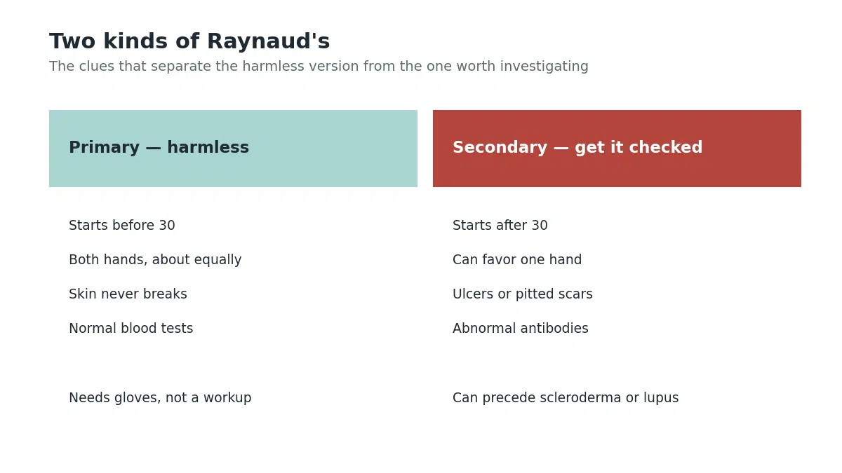 Comparison of primary and secondary Raynaud's and the clues that separate them