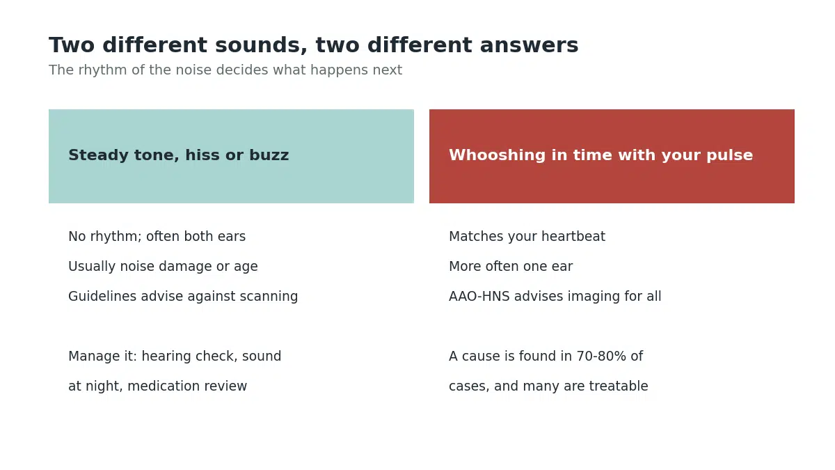 Comparison of steady tinnitus and pulsatile tinnitus and what each one needs from a doctor