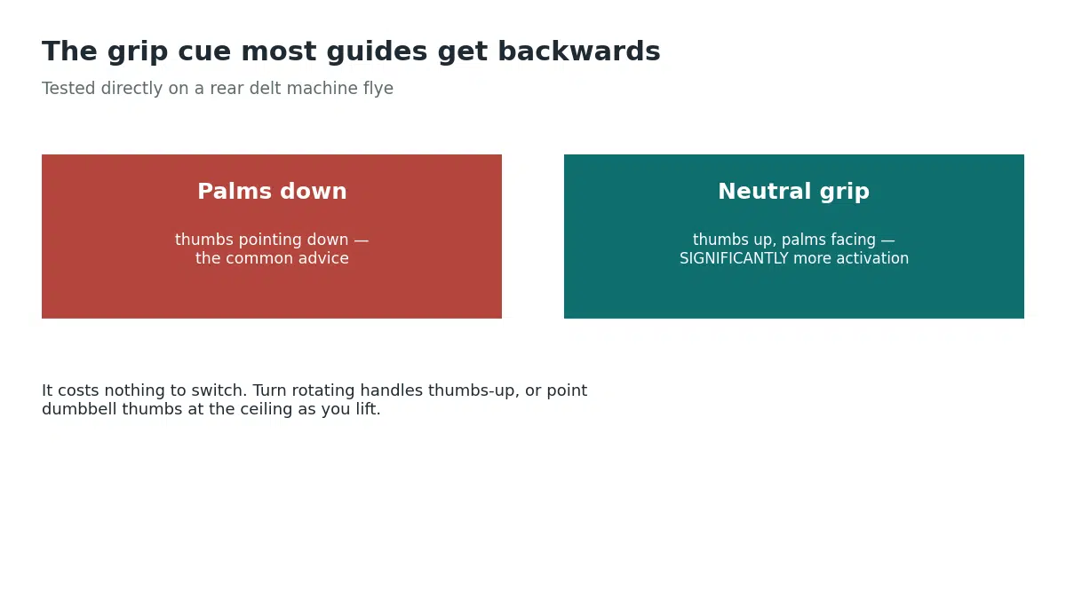 Research found a neutral thumbs-up grip produced significantly greater posterior deltoid activation than the commonly recommended palms-down grip