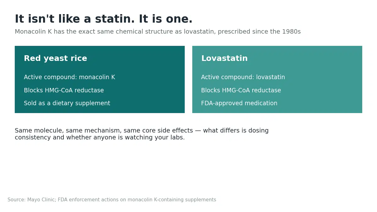 Red yeast rice and lovastatin compared, showing the same active compound and mechanism