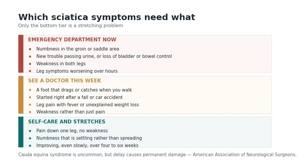 Red flag chart showing which sciatica symptoms need emergency care, prompt assessment, or can be managed at home