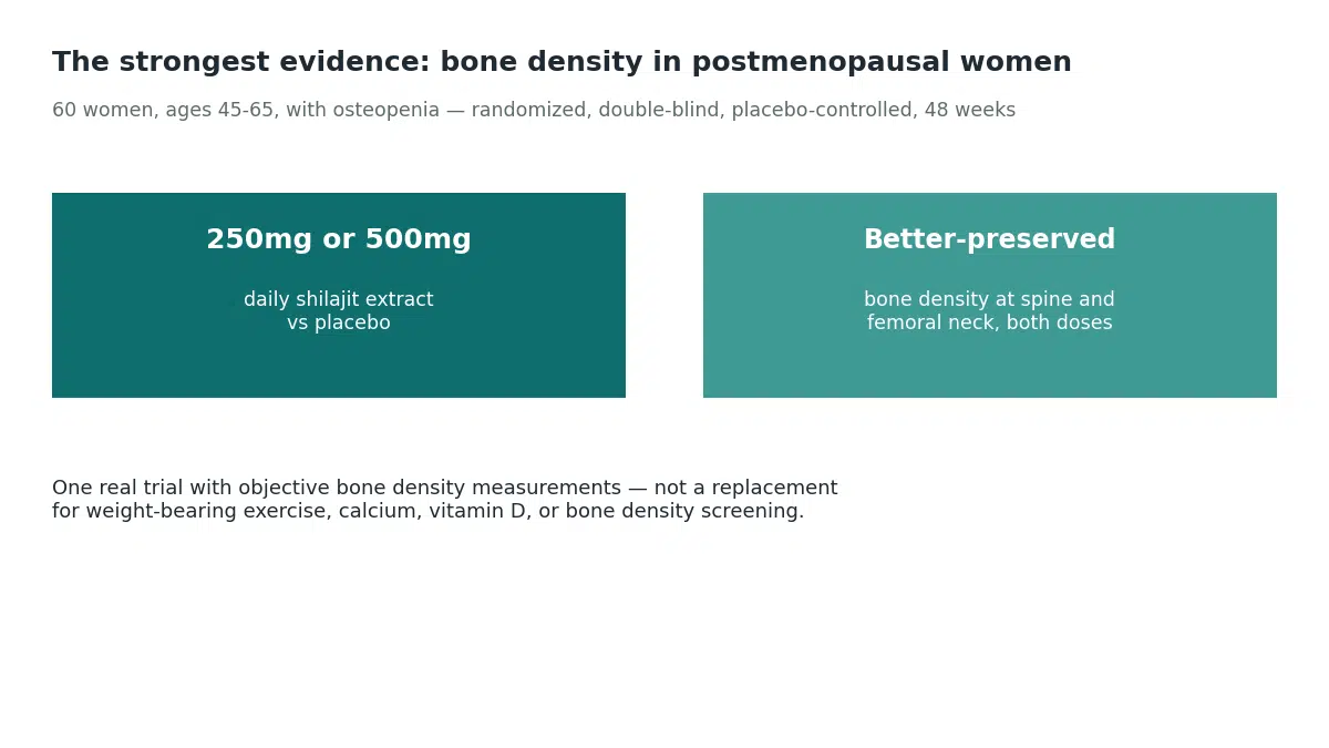 A 48-week randomized trial in 60 postmenopausal women with osteopenia found 250mg or 500mg of shilajit daily led to better-preserved bone density than placebo