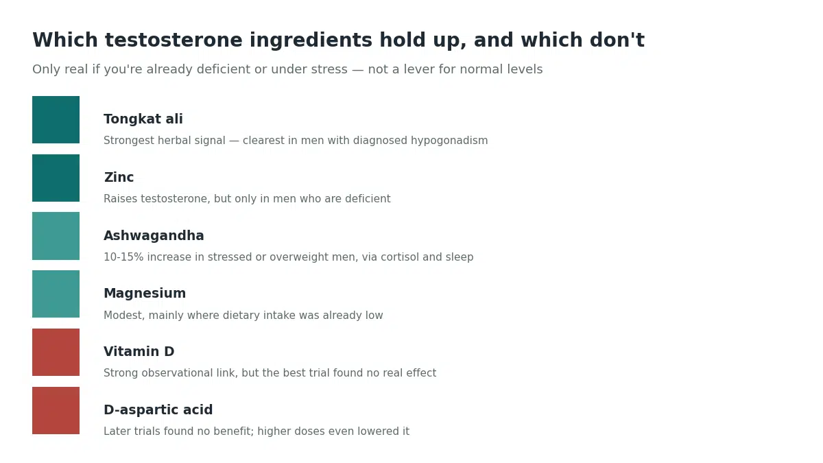 Testosterone ingredients ranked by evidence: tongkat ali and zinc work if deficient, ashwagandha and magnesium modest, vitamin D and D-aspartic acid unproven