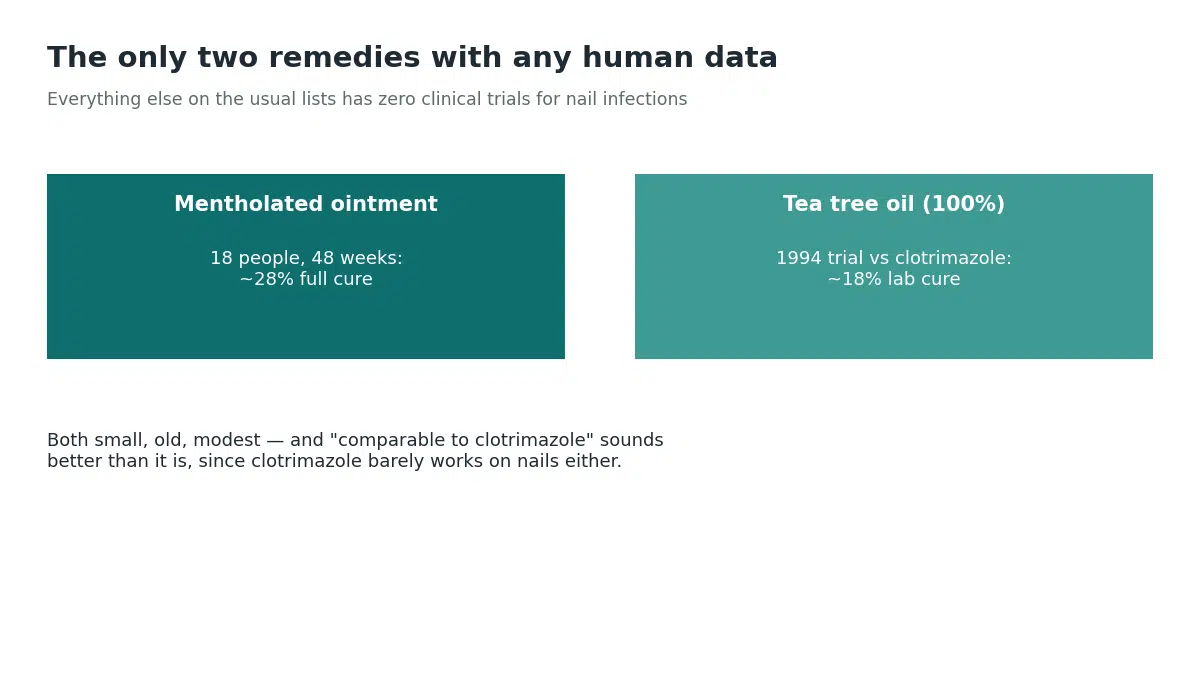 Mentholated ointment showed about 28% full cure in an 18-person study and tea tree oil showed about 18% laboratory cure in a 1994 trial, the only two home remedies with any human data for toenail fungus