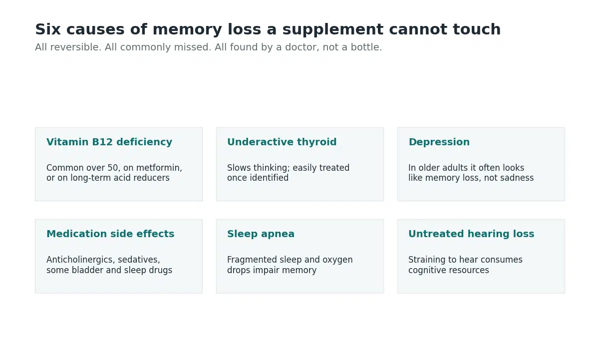Six treatable causes of memory loss in older adults: B12 deficiency, thyroid, depression, medication, sleep apnea and hearing loss