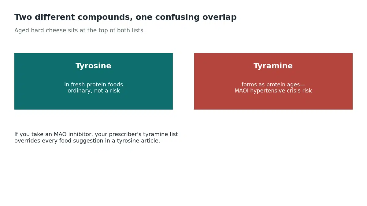 Tyrosine in fresh protein foods is ordinary and not a risk, while tyramine forms as protein ages and can trigger a hypertensive crisis in people taking MAO inhibitors, with aged hard cheese high in both compounds
