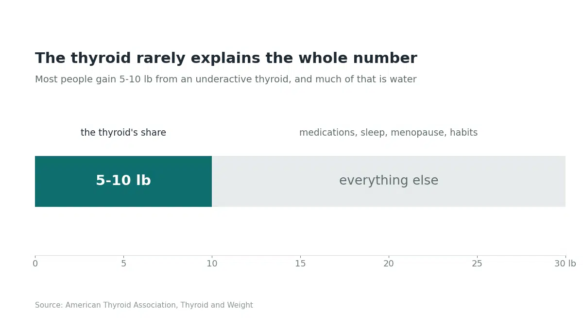 Chart showing an underactive thyroid explains only 5 to 10 pounds of a 30 pound weight gain