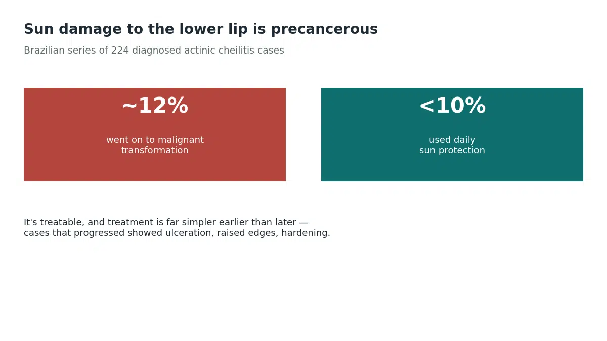 In a 224-case series of actinic cheilitis, roughly 12% went on to malignant transformation while fewer than 10% of those patients used daily sun protection