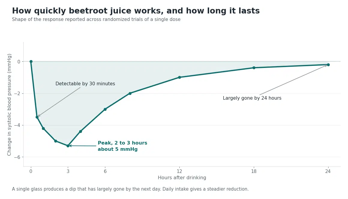 Timeline of how beetroot juice affects blood pressure, detectable within 30 minutes, peaking at 2 to 3 hours and fading within 24 hours